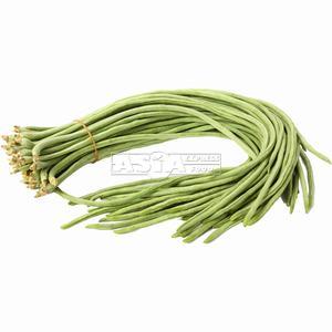 Haricot long