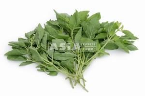 Basilic sauvage ( krapao )