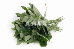 Feuilles de chaplou / betel