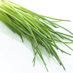 Ciboulette thaï / jeune oignon