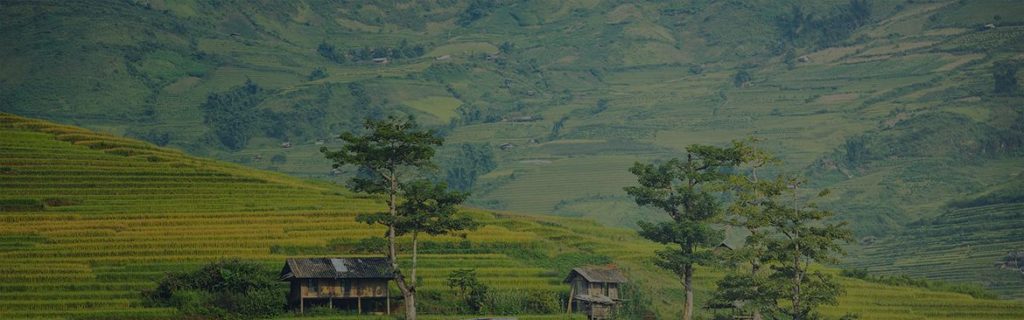 Thai Store Slide 1 1024x320